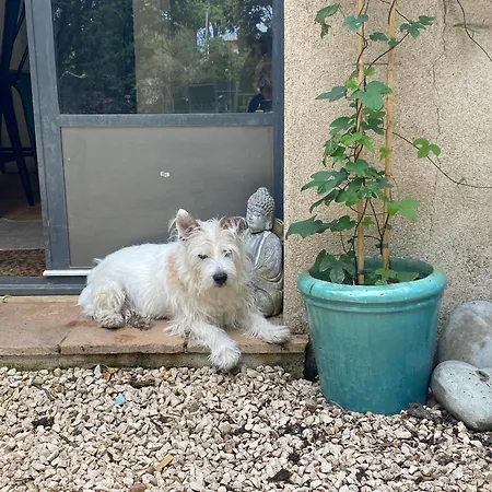L'auberge D'eva - La Pitchoune