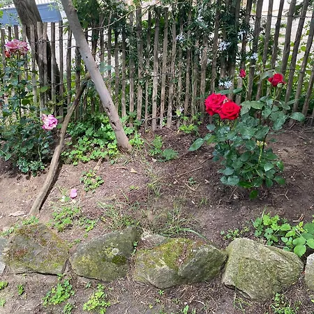 L'auberge D'eva - La Pitchoune *