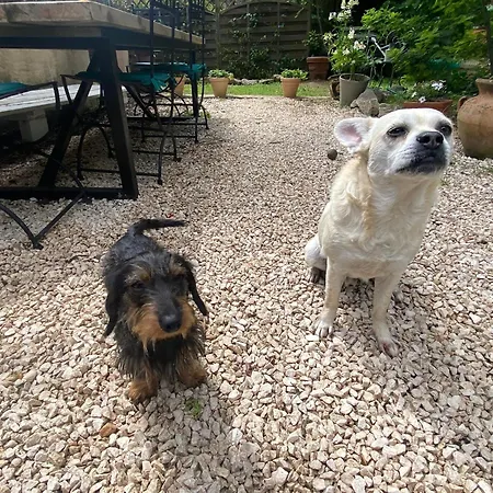 L'auberge D'eva - La Pitchoune Gasthuis Saint-Tropez