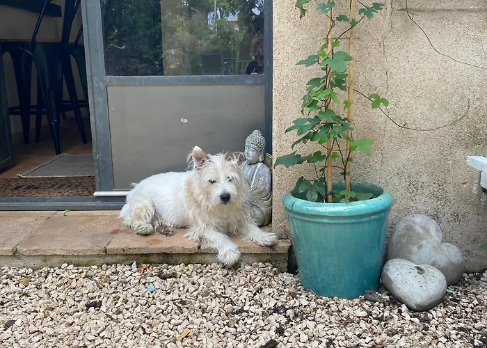 L'auberge D'eva - La Pitchoune