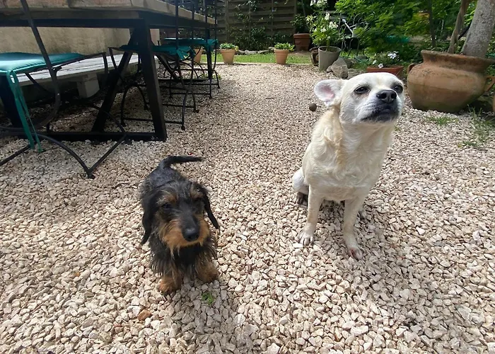 L'auberge D'eva - La Pitchoune Gasthuis Saint-Tropez